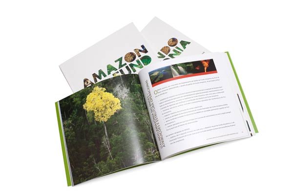 BNDES / Diseño Editorial / Informes Anuales del Fondo Amazonia