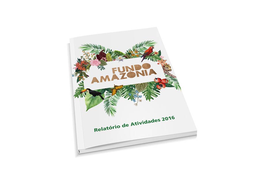 BNDES / Diseño Editorial / Informes Anuales del Fondo Amazonia