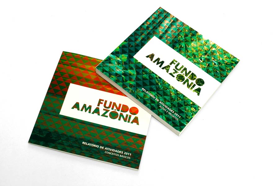 BNDES / Diseño Editorial / Informes Anuales del Fondo Amazonia