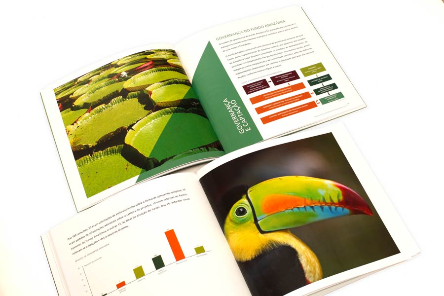 BNDES / Diseño Editorial / Informes Anuales del Fondo Amazonia