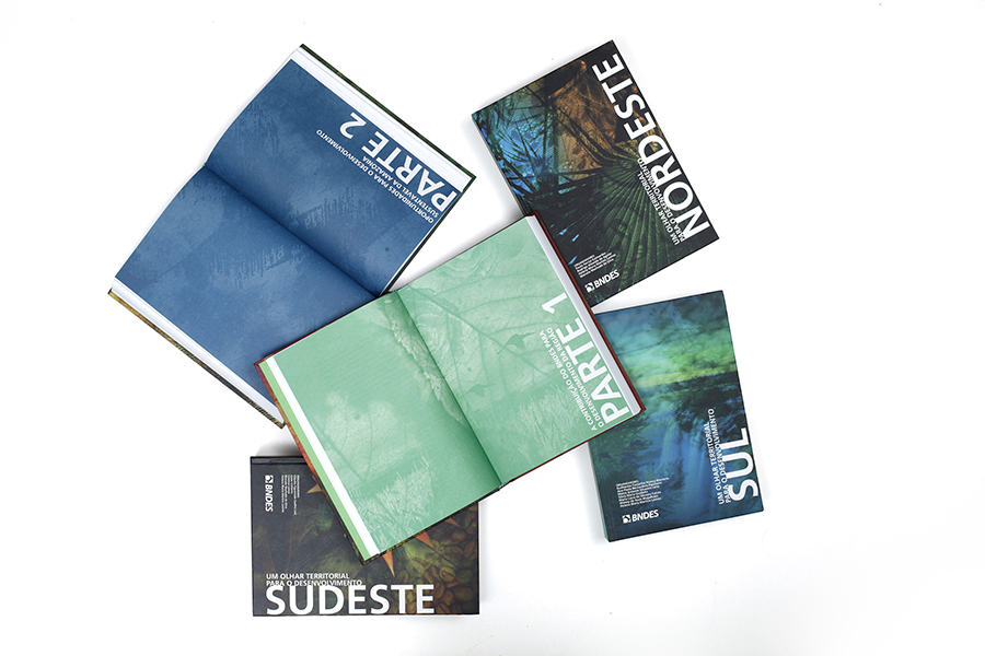 BNDES / Diseño Editorial / Una mirada territorial para el desarrollo